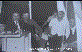 M�nir �zt�rk-Mehmet Avci-Ekrem �zt�rk