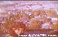 M�rvet Acar